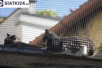 Siatki Chełmno - Siatka na balkony dla kota i zabezpieczenie dzieci dla terenów Chełmna