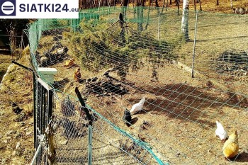 Siatki Chełmno - Siatka na woliery - zabezpieczenia ptaków w hodowli dla terenów Chełmna